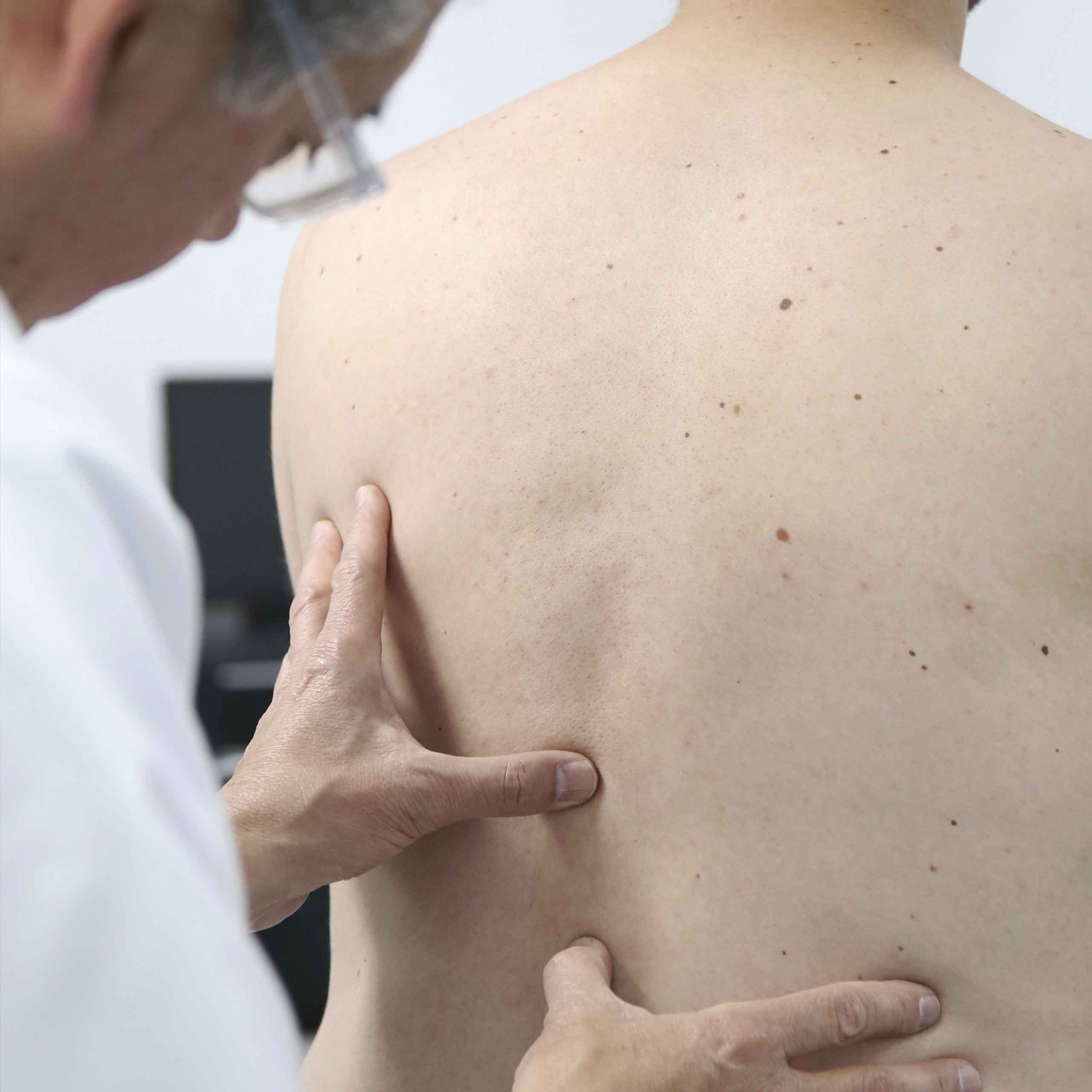 Línea de investigación